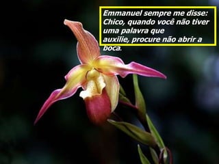 Emmanuel sempre me disse:
Chico, quando você não tiver
uma palavra que
auxilie, procure não abrir a
boca.
 