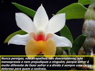 Nunca persigas, não atrapalhes, não desconsideres, não
menosprezes e nem prejudiques a ninguém, porque sofrer é
muito diferente de fazer sofrer e a dívida é sempre uma carga
dolorosa para quem a contraiu.
 