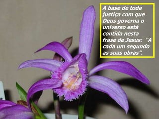 A base de toda
justiça com que
Deus governa o
universo está
contida nesta
frase de Jesus: “A
cada um segundo
as suas obras”.
 