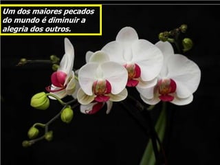 Um dos maiores pecados
do mundo é diminuir a
alegria dos outros.
 