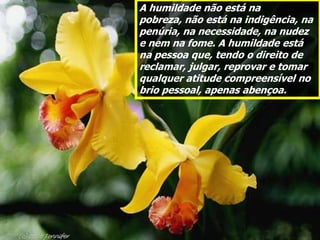A humildade não está na
pobreza, não está na indigência, na
penúria, na necessidade, na nudez
e nem na fome. A humildade está
na pessoa que, tendo o direito de
reclamar, julgar, reprovar e tomar
qualquer atitude compreensível no
brio pessoal, apenas abençoa.
 