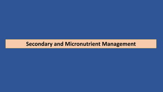 Secondary and Micronutrient Management
 