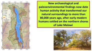 New archaeological and
paleoenvironmental findings now date
human activity that transformed our
natural surroundings to more than
80,000 years ago, after early modern
humans settled on the northern shores
of Lake Malawi
 