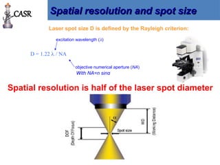 D = 1.22  / NA
Laser spot size D is defined by the Rayleigh criterion:
excitation wavelength ()
objective numerical aperture (NA)
With NA=n sinα
Spatial resolution and spot size
Spatial resolution and spot size
Spatial resolution is half of the laser spot diameter
CASR
 