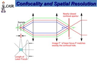 Sample
Length of
Laser Focus
Nearly closed
confocal apertur
P P '
P '
P P '
P
Image P ' of laser focus P matches
exactly the confocal hole.
Confocality and Spatial Resolution
Confocality and Spatial Resolution
CASR
 