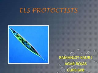 ELS PROTOCTISTS




          RAMANJOT KAUR I
            AGAR ROJAS
             CURS:6éB
 