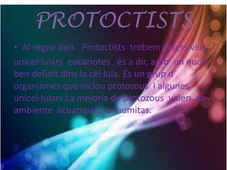 PROTOCTISTS
• Al regne dels Protoctists trobem éssers vius
unicel·lulars eucariotes , és a dir, amb un nucli
ben definit dins la cèl·lula. És un grup d’
organismes que inclou protozous i algunes
unicel·lulars.La mejoría de protozous viuen en
ambiente acuatiques o humitas.
 