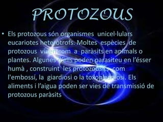 PROTOZOUS
• Els protozous són organismes unicel·lulars
  eucariotes heteròtrofs. Moltes espècies de
  protozous viuen com a paràsits en animals o
  plantes. Algunes d’ells poden parasiteu en l’ésser
  humà , construint les prótozoosits ,com
  l'embossí, la giardiosi o la toxoplasmosi. Els
  aliments i l’aigua poden ser vies de transmissió de
  protozous paràsits.
 