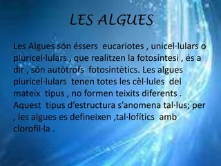 LES ALGUES
Les Algues són éssers eucariotes , unicel·lulars o
pluricel·lulars , que realitzen la fotosíntesi , és a
dir , són autòtrofs fotosintètics. Les algues
pluricel·lulars tenen totes les cèl·lules del
mateix tipus , no formen teixits diferents .
Aquest tipus d’estructura s’anomena tal·lus; per
, les algues es defineixen ,tal·lofítics amb
clorofil·la .
 