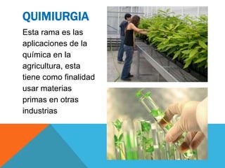 Esta rama es las
aplicaciones de la
química en la
agricultura, esta
tiene como finalidad
usar materias
primas en otras
industrias
QUIMIURGIA
 