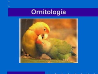 Ornitología