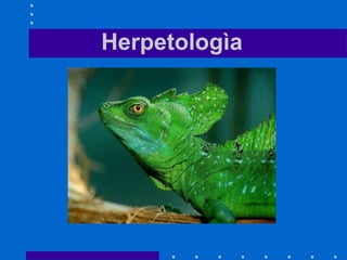 Herpetologìa