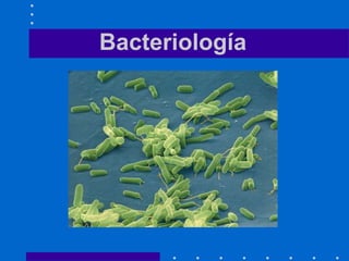 Bacteriología