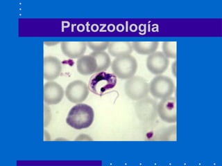 Protozoología