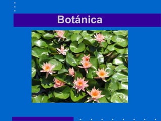 Botánica