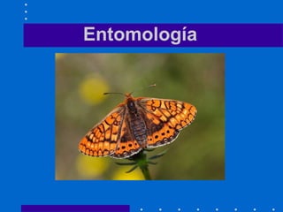 Entomología