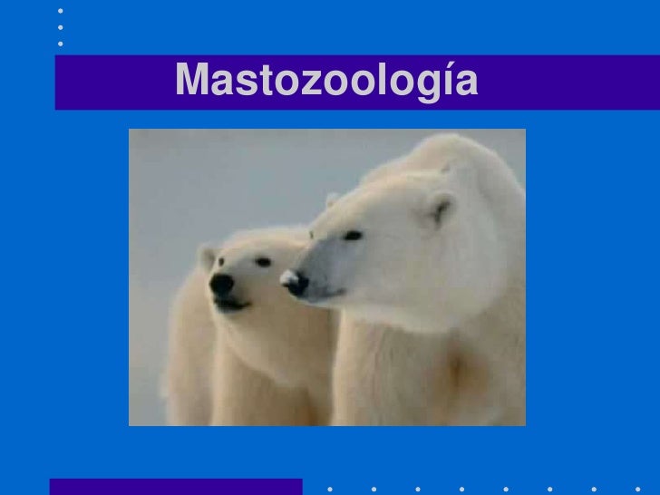 Las ramas de la Biología Las ramas de la Biología