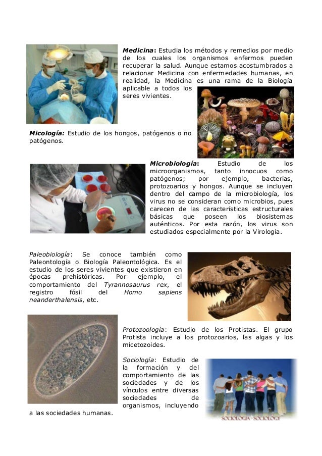 BIOLOGIA GENERAL Y SUS RAMAS