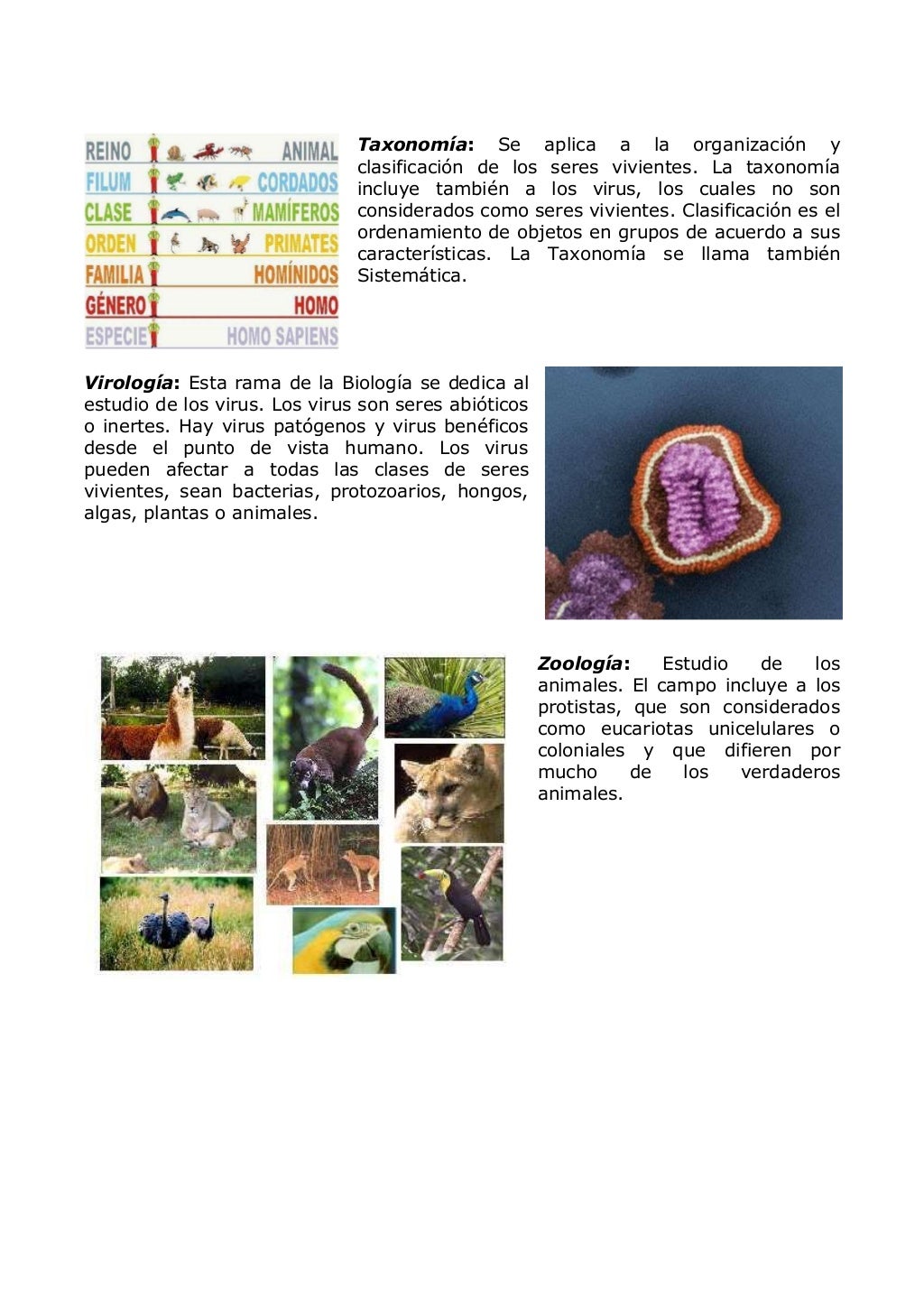 BIOLOGIA GENERAL Y SUS RAMAS