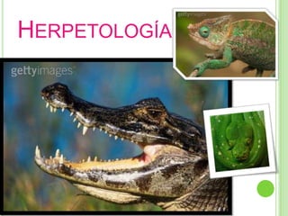 Herpetología*