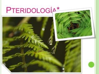 Pteridología*
