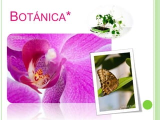 Botánica*