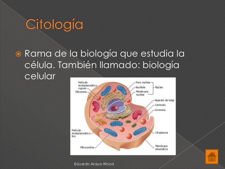 Ramas de la biología