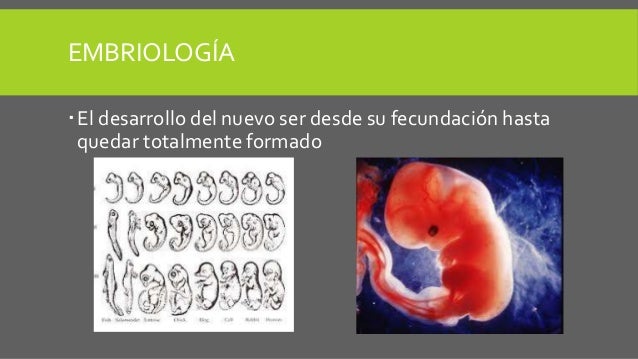 Ramas de la Biología