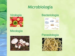 Microbiología Virología Micología Bacteriología Parasitología 