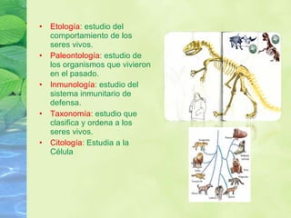 Etología : estudio del comportamiento de los seres vivos. Paleontología : estudio de los organismos que vivieron en el pasado. Inmunología : estudio del sistema inmunitario de defensa.  Taxonomía : estudio que clasifica y ordena a los seres vivos.  Citología : Estudia a la Célula 