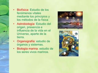 Biofísica : Estudio de los fenómenos vitales mediante los principios y los métodos de la física Astrobiología : Estudio del origen, presencia e influencia de la vida en el Universo, aparte de la tierra.  Organografía:  estudio de órganos y sistemas.  Biología marina : estudio de los seres vivos marinos. 