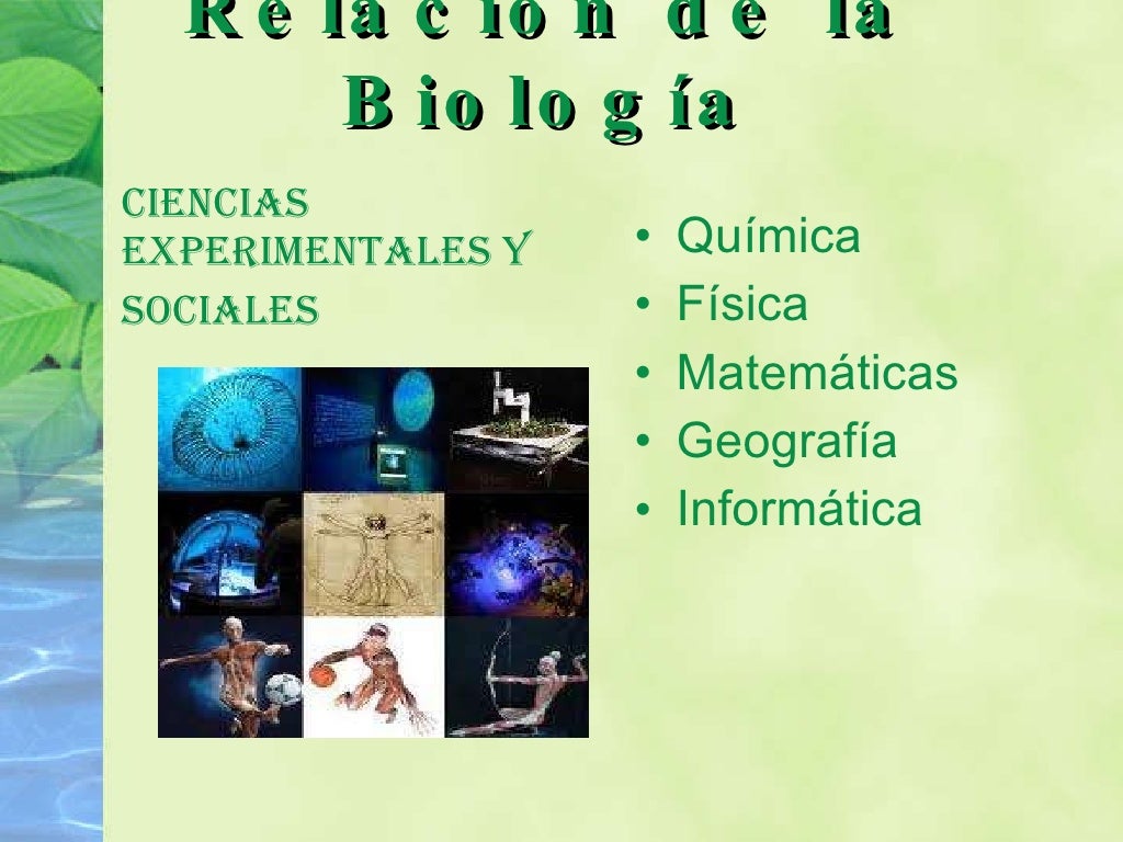Ramas de la_biologia