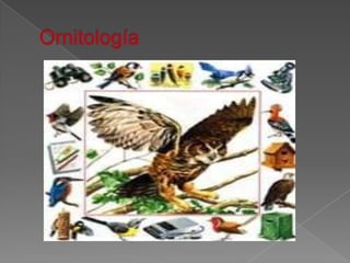 Ornitología
