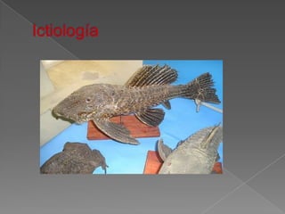 Ictiología