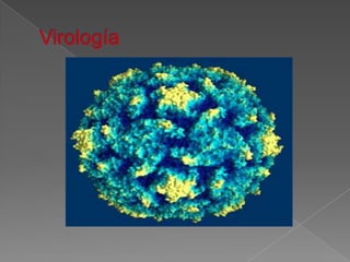Virología