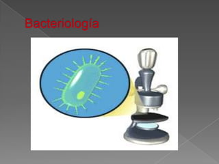 Bacteriología