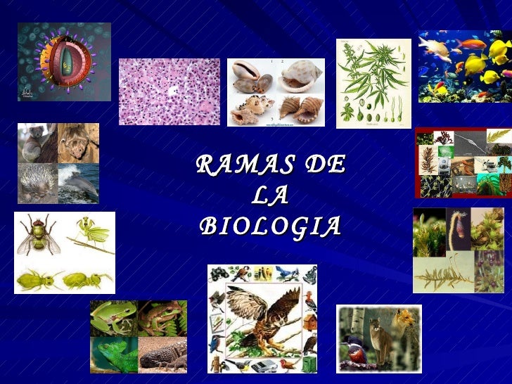 Ramas de la biologia