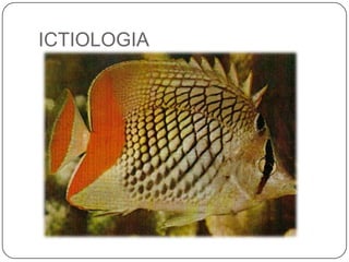 ICTIOLOGIA
