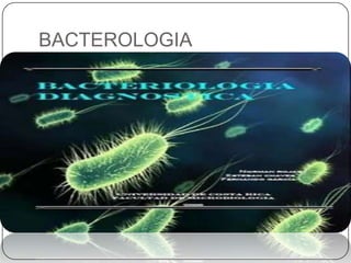 BACTEROLOGIA