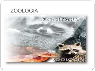 ZOOLOGIA