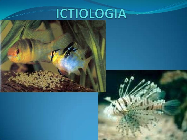 Ramas de la biologia