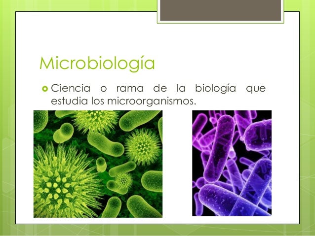 Ramas de la biologia
