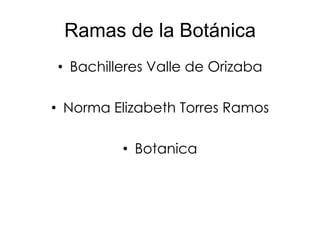 Ramas de la Botánica Bachilleres Valle de Orizaba  Norma Elizabeth Torres Ramos Botanica 