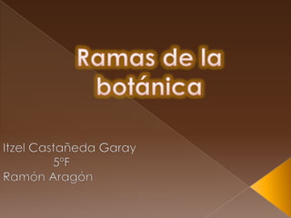 Ramas de la botánica  Itzel Castañeda Garay               5ºF Ramón Aragón 