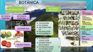 BOTÁNICA PURA
BOTÁNICA
GENERAL
BOTÁNICA
ESPECIAL
SISTEMÁTICA
GEOBOTÁNICA
 FITOGEOGRAFÍA
 FLORÍSTICA O
COROLOGÍA
 GEOBOTÁNICA
ECOLÓGICA
 FITOSOCIOLOGÍA O
FITOCENOLOGÍA
 GEOBOTÁNICA
 TAXONOMÍA
 FILOGENIA
 PALEOBOTÁNI
CA
 PALINOLOGÍA
 FITOQUÍMICA
BOTÁNICA
BOTÁNICA
APLICADA
 