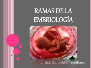 L. Est. Sarahid C. Santiago
RAMAS DE LA
EMBRIOLOGÍA
 