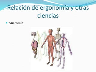 Relación de ergonomía y otras
ciencias
 Anatomía
 