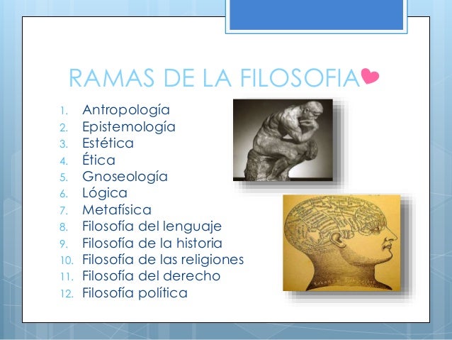 Ramas de la filosofía ♥
