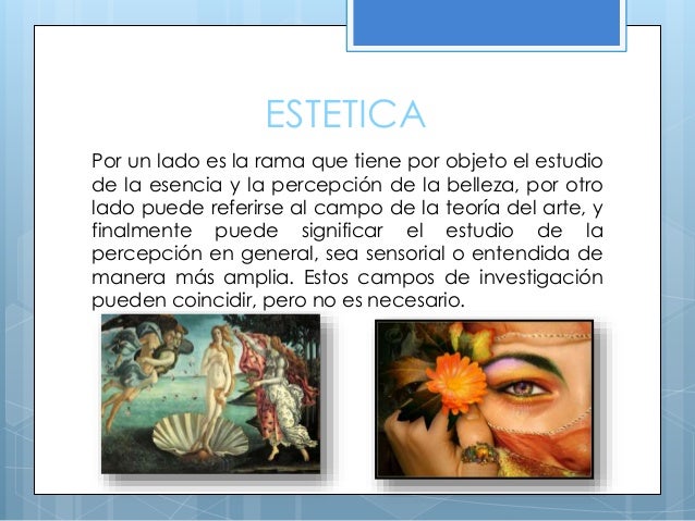 Ramas de la filosofía ♥