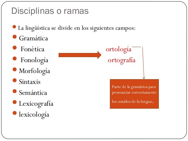 Ramas de la ling.
